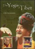 Subtitrare The Yogis of Tibet