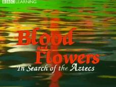 Subtitrare  Blood and Flowers - In Search of the Aztecs