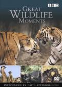 Subtitrare  Great Wildlife Moments