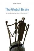 Subtitrare  The Global Brain