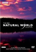 Subtitrare  BBC Natural World: Elephants Without Borders