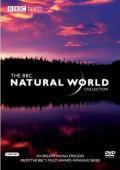Subtitrare  BBC Natural World: Africa's Dragon Mountain HD 720p XVID