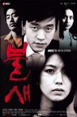 Subtitrare  Phoenix (The Fire Bird)