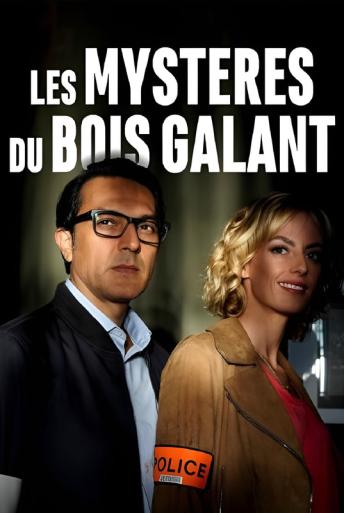 Subtitrare Les mystères du Bois Galant (Murders in Rochefort) The Mysteries of Gallant Wood