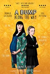 Subtitrare  A Bump Along the Way