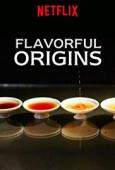 Subtitrare Flavorful Origins - Sezoanele 1-3