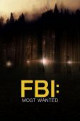 Subtitrare FBI: Most Wanted - Sezonul 1