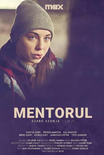 Subtitrare The Mentor (A mentor)