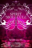 Subtitrare  DMT - The Spirit Molecule