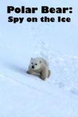 Subtitrare  Polar Bear: Spy on the Ice