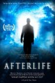 Subtitrare  Afterlife