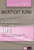 Subtitrare  Eckhart Tolle - Bringing Stillness into Everyday L