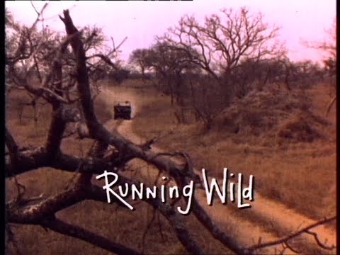 Trailer Running Wild
