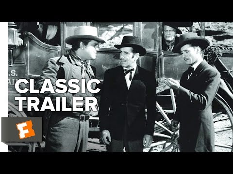 Trailer Moi universitety