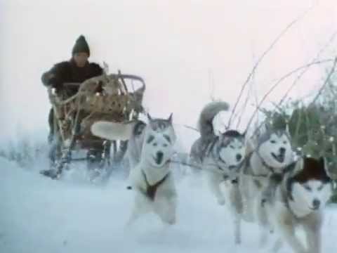 Trailer The Iron Glove