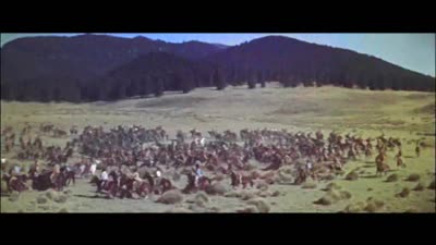 Trailer Sitting Bull