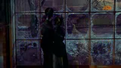 Trailer All That Heaven Allows