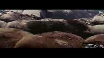 Trailer Lost Command