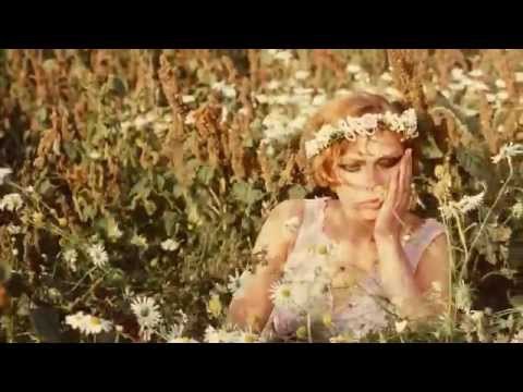 Trailer Daisies (Sedmikrasky)