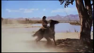 Trailer Hang 'em High