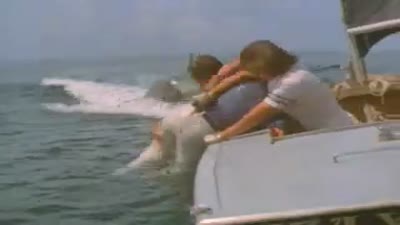 Trailer Jaws 2