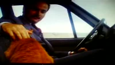 Trailer The Salamander