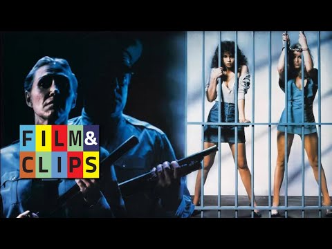Trailer Violence in a Women's Prison