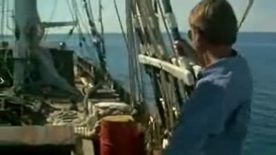 Trailer Dead Calm