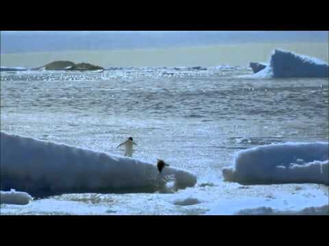 Trailer Antarctica: An Adventure of a Different Nature