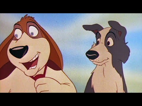 Trailer Rover Dangerfield