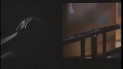 Trailer Body of Evidence
