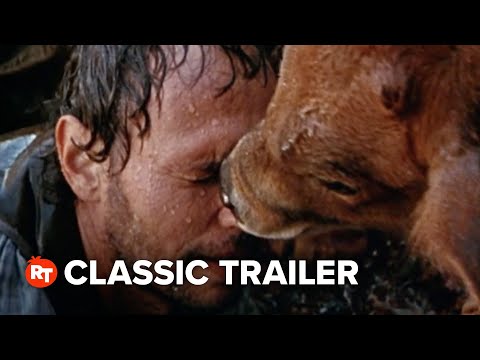 Trailer City Slickers II: The Legend of Curly's Gold