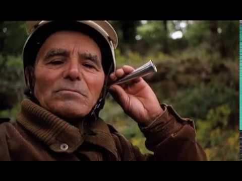 Trailer El secdleto de la tlompeta (The Seclet of the Tlumpet!)