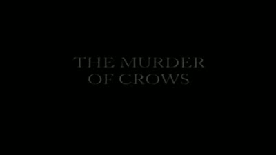 Trailer A Murder of Crows