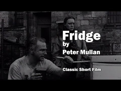 Trailer Fridge