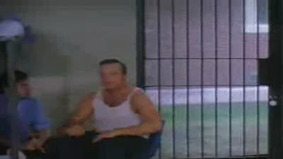 Trailer Animal Factory
