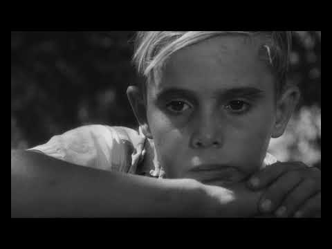 Trailer Les oliviers de la justice (The Olive Trees of Justice)