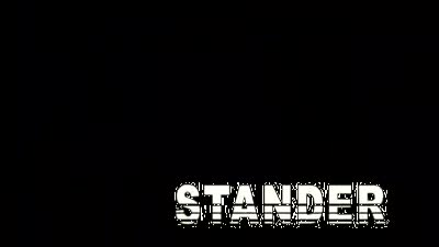 Trailer Stander
