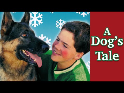 Trailer A Dog's Tale (A Christmas Tail) A Dog's Tale at Christmas