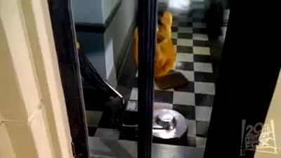 Trailer Garfield: The Movie (Garfield)