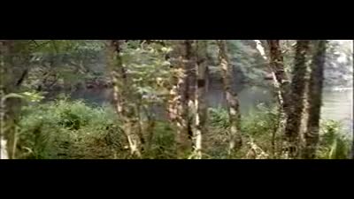 Trailer The Backwoods