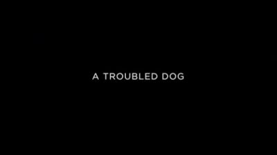 Trailer A Dog Year
