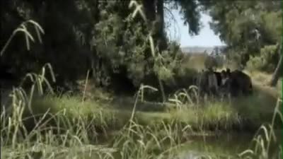 Trailer Shadowheart