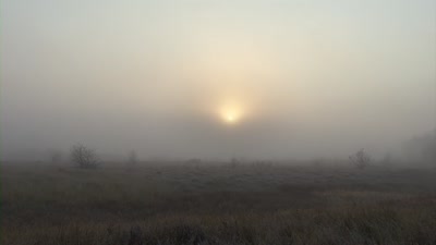 Trailer Agoni grammi