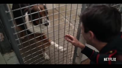 Trailer Rescued by Ruby