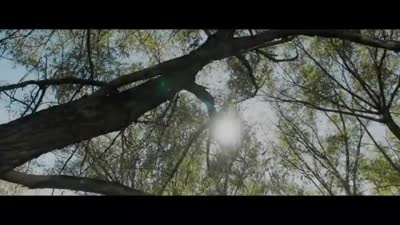 Trailer Death Wish