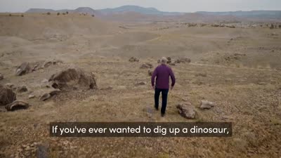 Trailer Fantastic Beasts: A Natural History