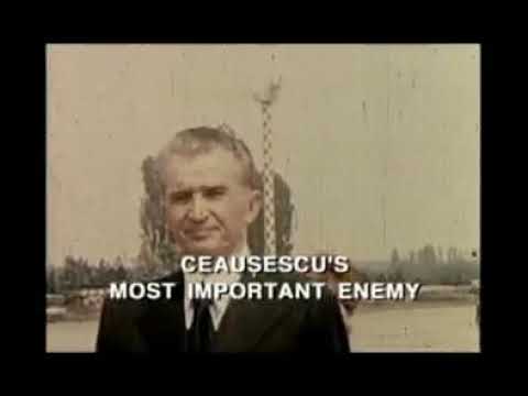 Trailer Cold Waves