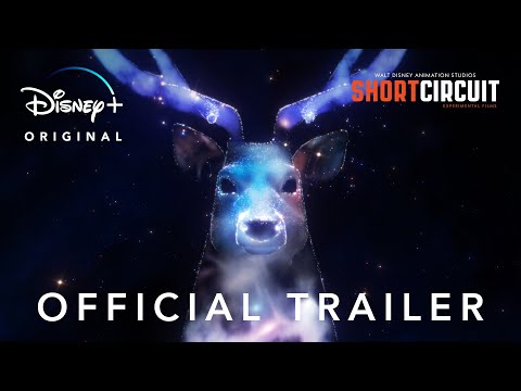 Trailer Short Circuit