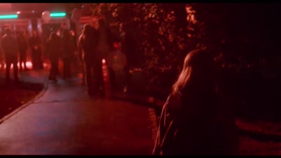 Trailer Wild Roots